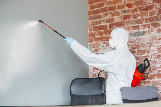 Best Mold Removal for HVAC Installations  in Palos Park, IL