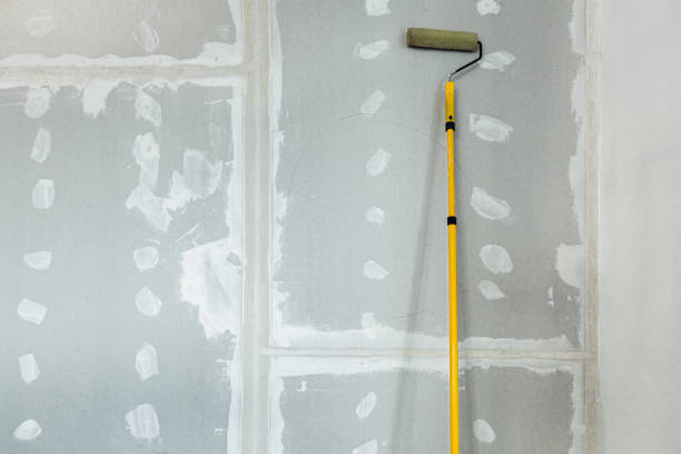 Best Air Quality Testing for Mold Spores  in Palos Park, IL