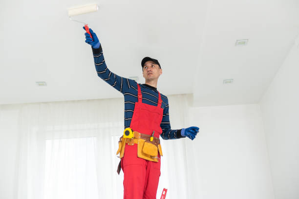 Best Industrial Mold Remediation  in Palos Park, IL