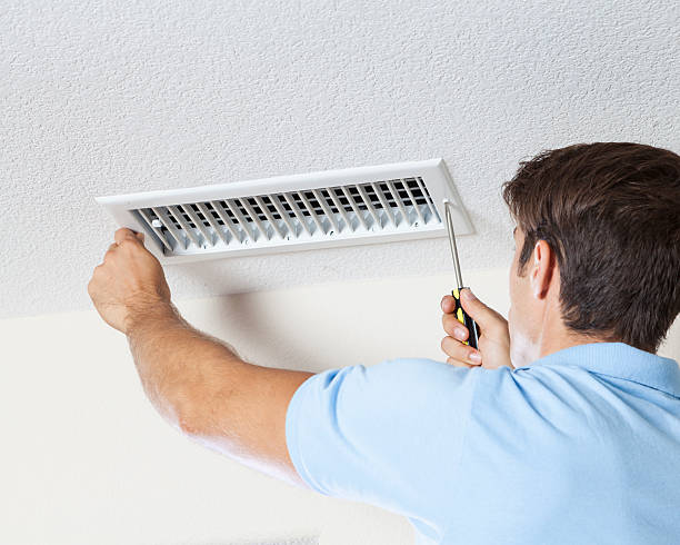 Best Mold Documentation for Insurance Claims  in Palos Park, IL
