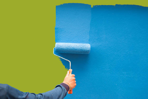 Best Attic Mold Removal  in Palos Park, IL